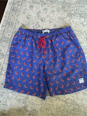 Mosmann Australia Men’s Large Watermelon Print Swim Trunks